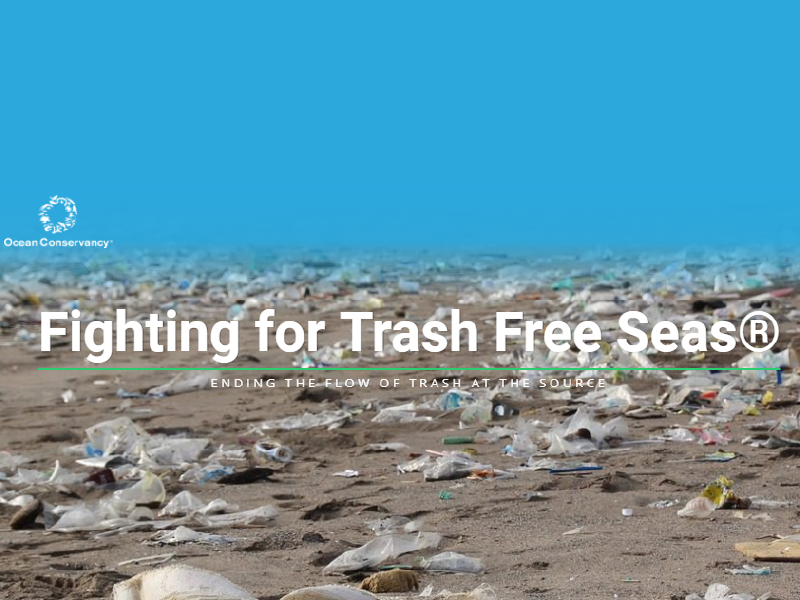 international coastal cleanup